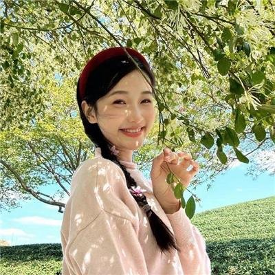 星际狗狗
